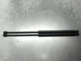 Front bonnet/hood damper/strut