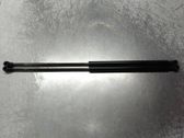 Tailgate/trunk strut/damper