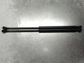 Tailgate/trunk strut/damper