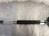 Tailgate/trunk strut/damper