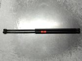 Front bonnet/hood damper/strut
