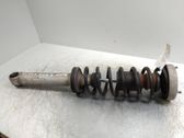 Rear shock absorber/damper
