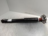 Rear shock absorber/damper