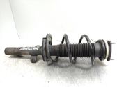 Front shock absorber with coil spring