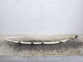 Front door airbag
