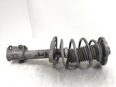 Front shock absorber with coil spring