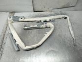 Airbag de la puerta delantera