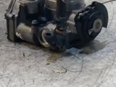 Throttle body valve