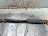 Rear shock absorber/damper