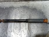 Rear shock absorber/damper