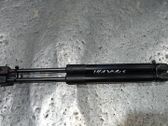 Tailgate/trunk strut/damper