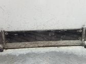 Radiador del refrigerante