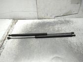 Tailgate/trunk strut/damper