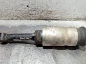 Front shock absorber with coil spring