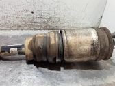 Rear shock absorber/damper