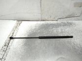 Front bonnet/hood damper/strut