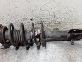 Amortiguador delantero con muelle espiral