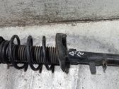 Amortiguador delantero con muelle espiral