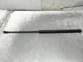 Front bonnet/hood damper/strut