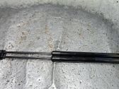 Tailgate/trunk strut/damper