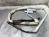 Front door airbag