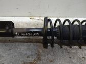 Amortiguador delantero con muelle espiral