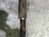 Stoßdämpfer hinten
