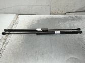 Tailgate/trunk strut/damper