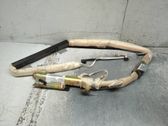 Front door airbag