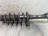 Amortiguador delantero con muelle espiral