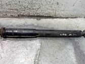 Rear shock absorber/damper
