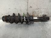 Amortiguador delantero con muelle espiral