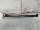 Stoßdämpfer hinten