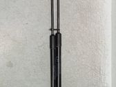 Tailgate/trunk strut/damper