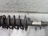 Front shock absorber with coil spring