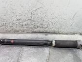 Stoßdämpfer hinten