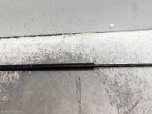 Front bonnet/hood damper/strut
