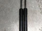 Tailgate/trunk strut/damper