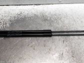 Tailgate/trunk strut/damper