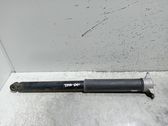 Rear shock absorber/damper