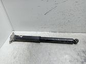 Rear shock absorber/damper
