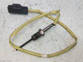 Sensor