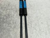 Front bonnet/hood damper/strut