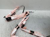 Front door airbag