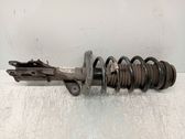Amortiguador delantero con muelle espiral