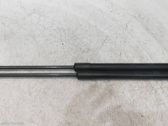 Front bonnet/hood damper/strut