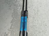 Front bonnet/hood damper/strut