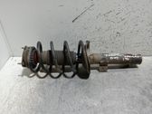 Front shock absorber with coil spring