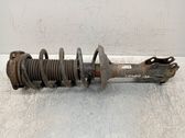 Amortiguador delantero con muelle espiral