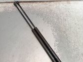 Tailgate/trunk strut/damper